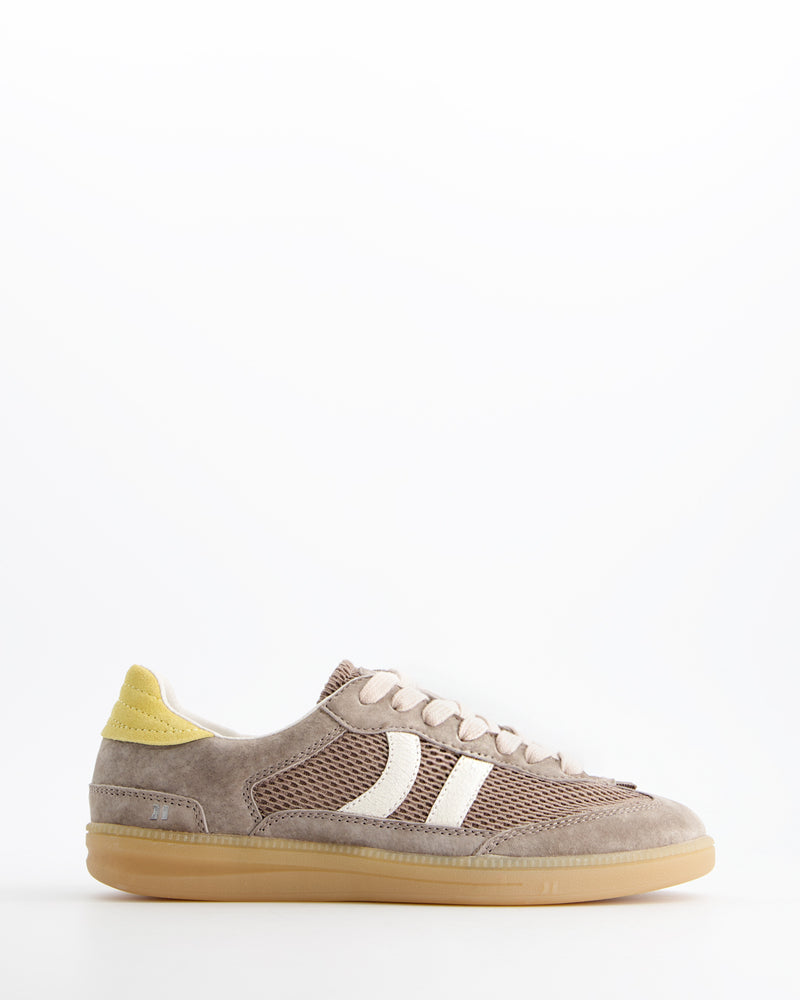 Baresi Urban Terra