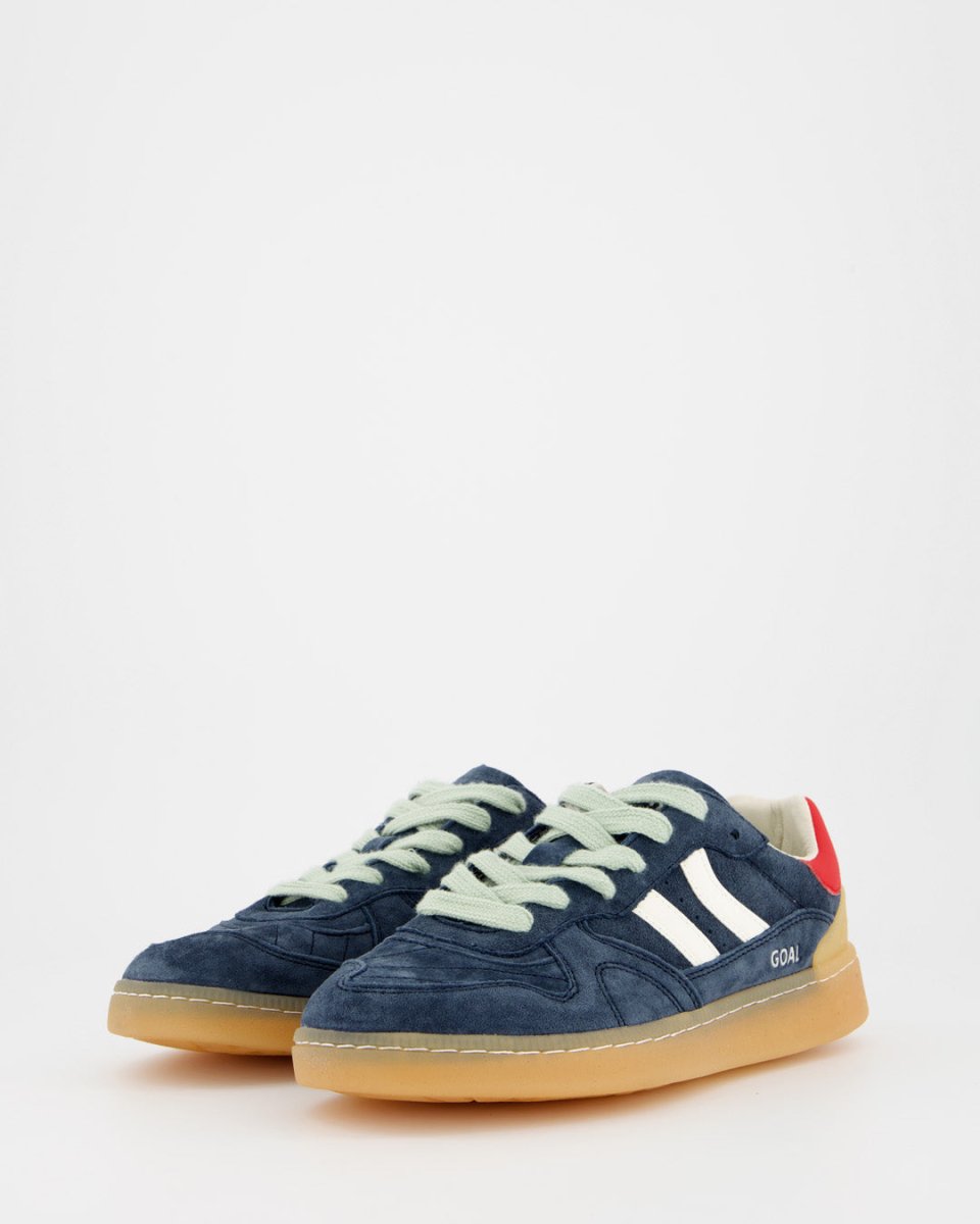 Goal Blue Shark
