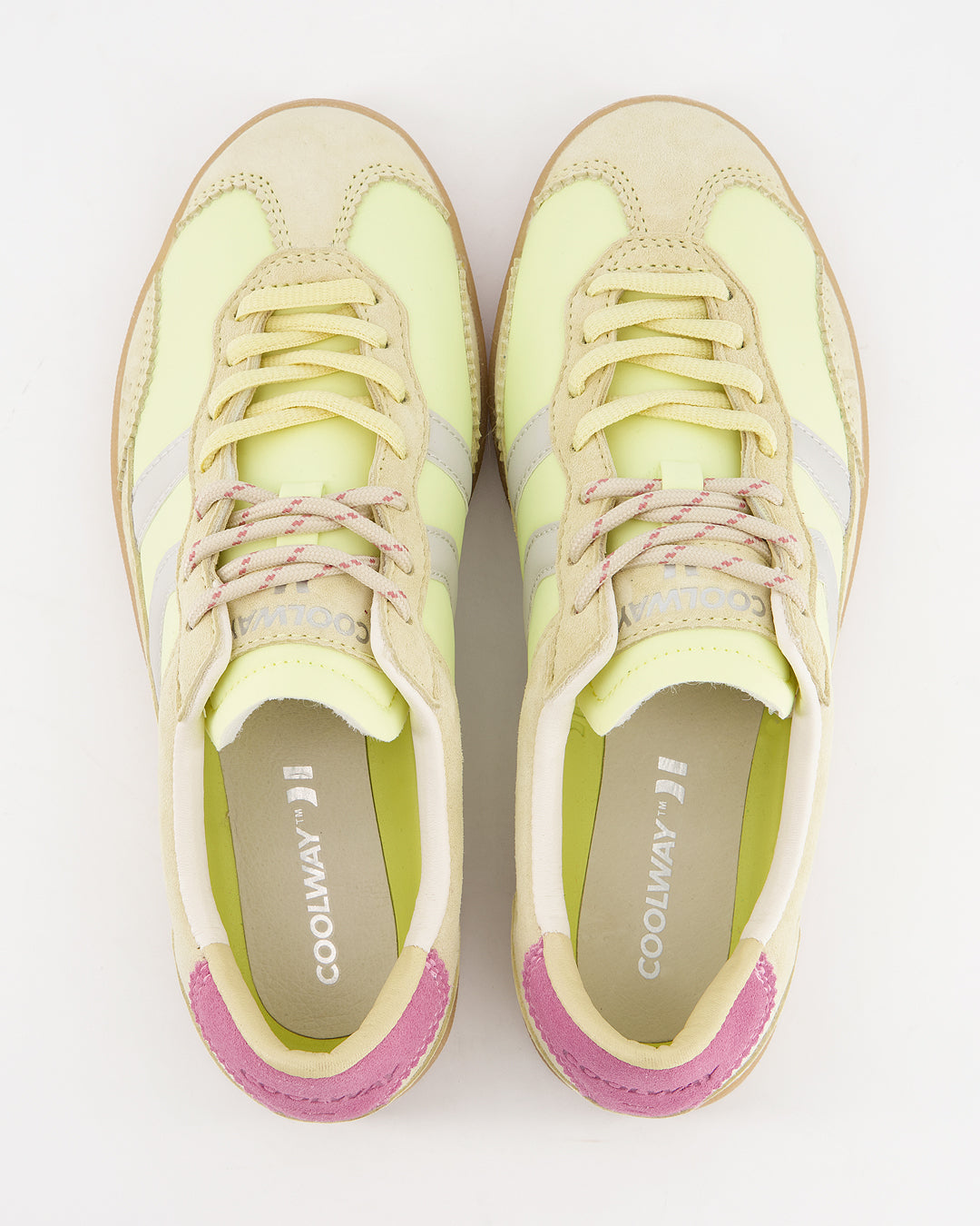 Kizuna Sunflower Glow